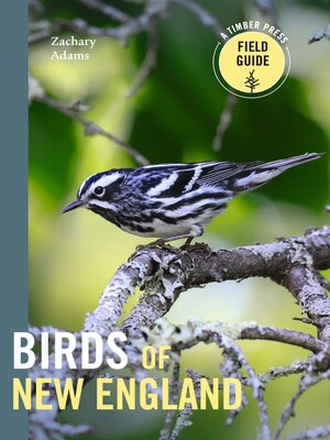 cover image of Birds of New England